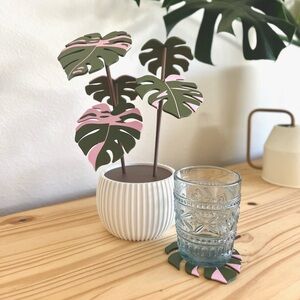 monstera coaster plant 6pc set